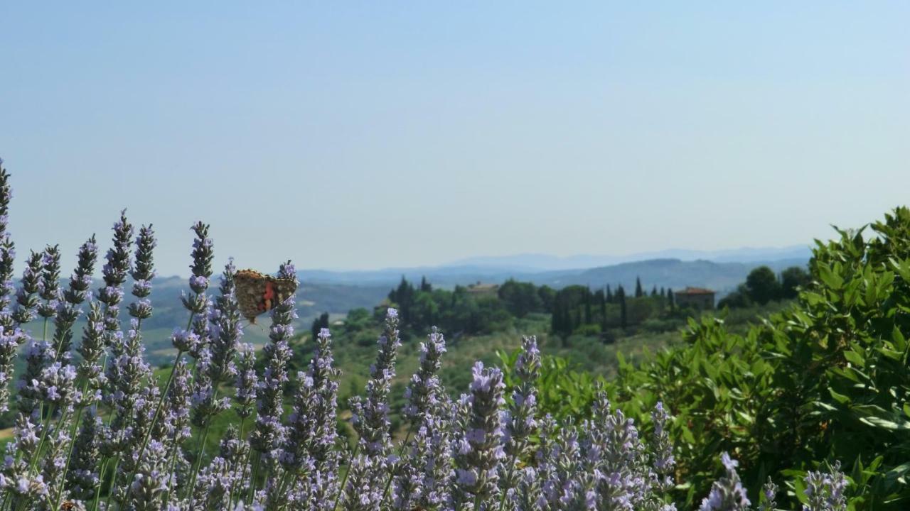 Appartamenti Ava E Tegrino Nell'Antica Dimora Di Fulignano Сан-Джиміньяно Екстер'єр фото