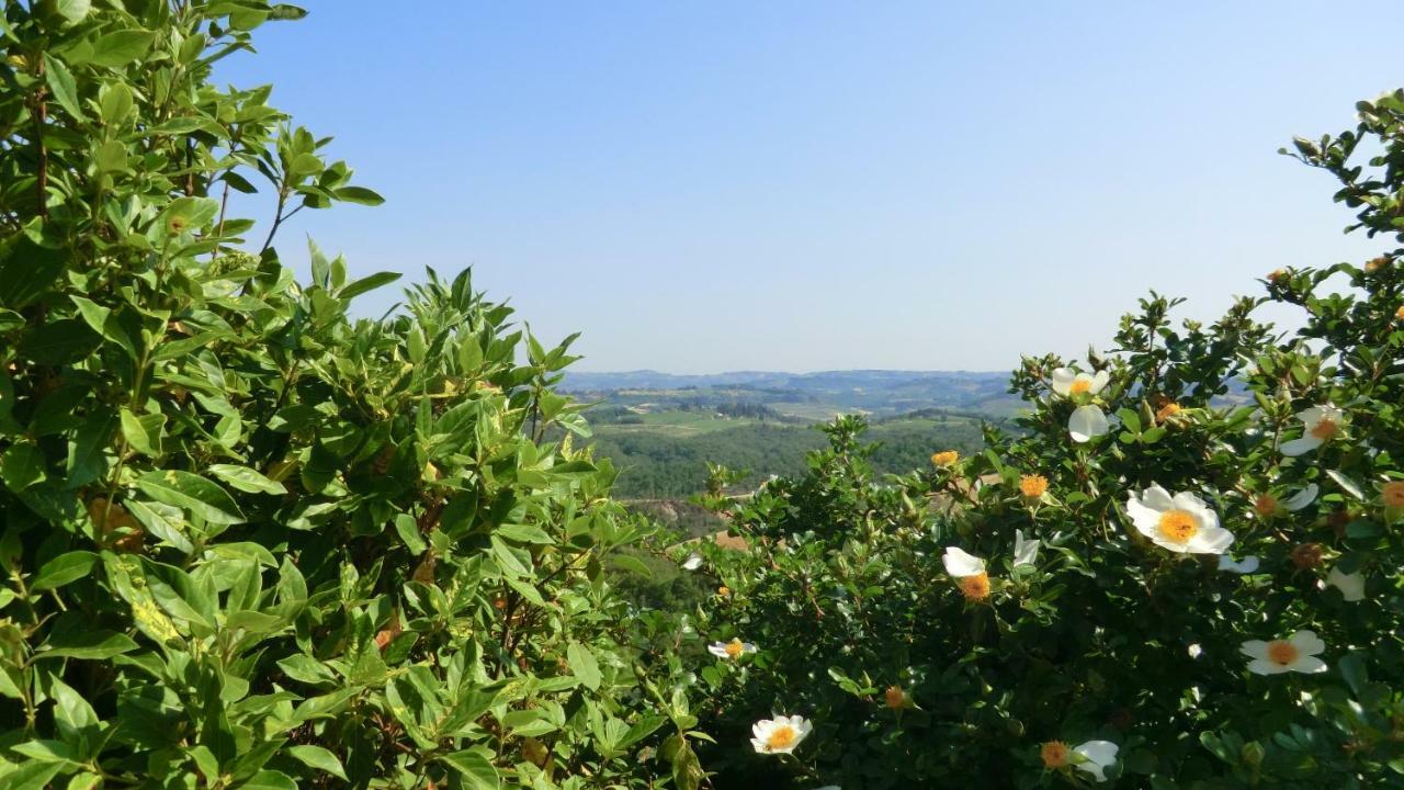 Appartamenti Ava E Tegrino Nell'Antica Dimora Di Fulignano Сан-Джиміньяно Екстер'єр фото