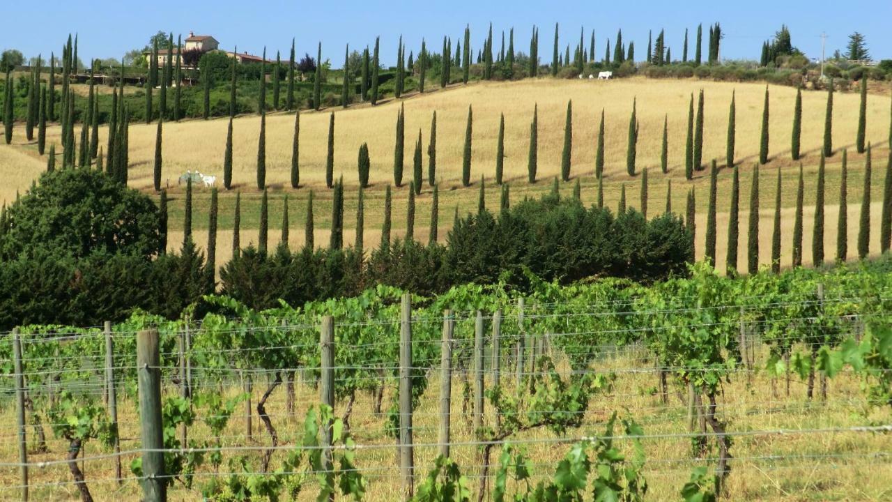 Appartamenti Ava E Tegrino Nell'Antica Dimora Di Fulignano Сан-Джиміньяно Екстер'єр фото